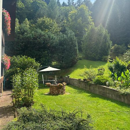 Hotel Pension Ernst Im Herzen Des Pfaelzerwaldes Mit Kueche Elmstein Exterior foto