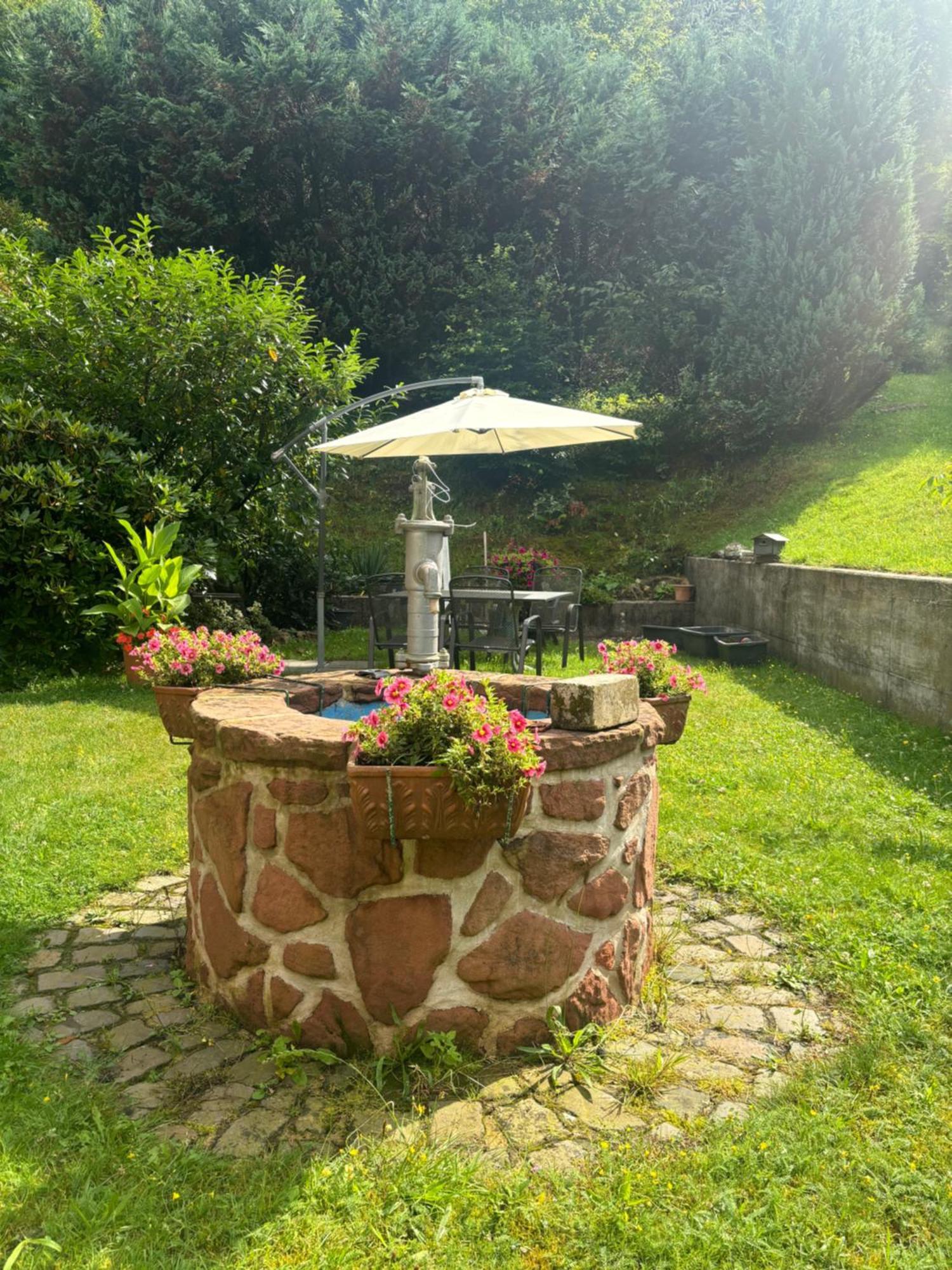 Hotel Pension Ernst Im Herzen Des Pfaelzerwaldes Mit Kueche Elmstein Exterior foto
